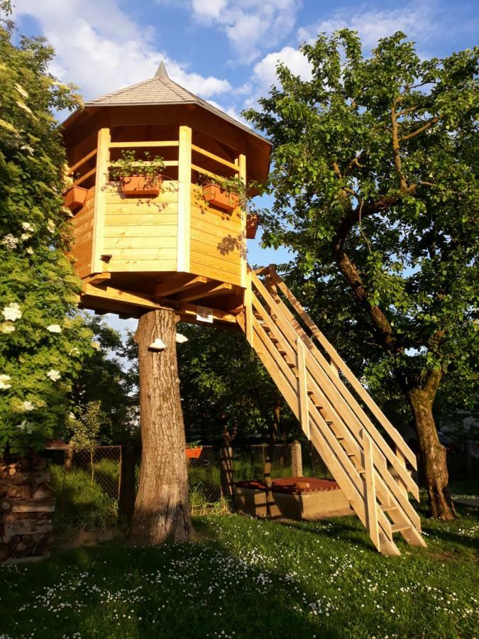 Boutique Hotel Loka Шкофья-Лока Экстерьер фото